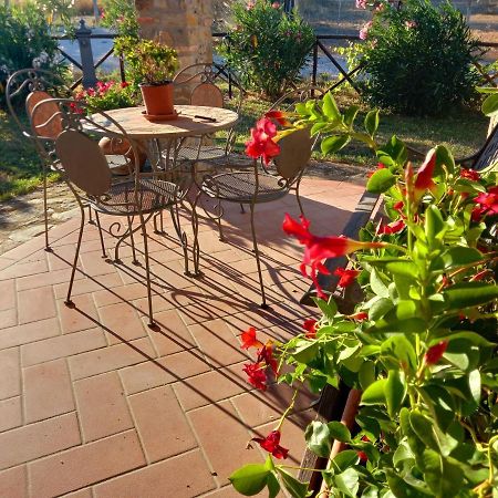 Agriturismo La Casina 萨杜勒尼亚 外观 照片