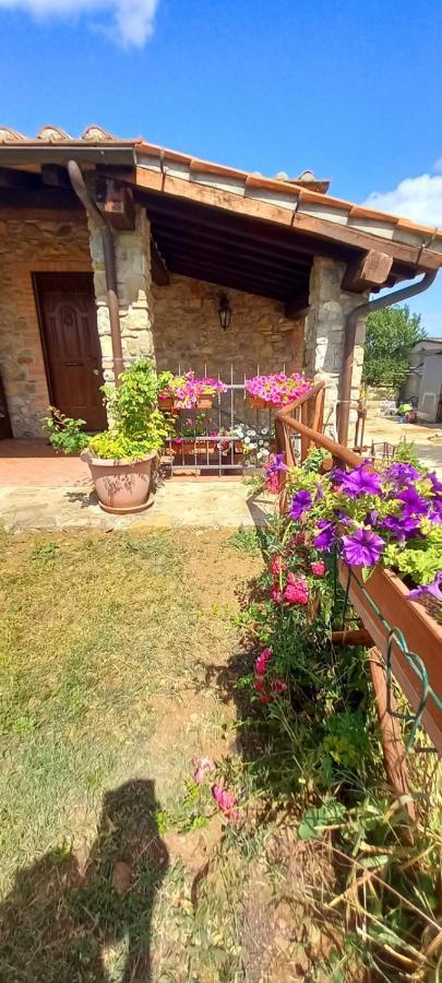 Agriturismo La Casina 萨杜勒尼亚 外观 照片